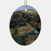 Breedpools bij Bob Creek, OF Keramisch Ornament (Rechts)