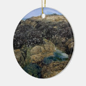 Breedpools bij Bob Creek, OF Keramisch Ornament (Links)