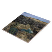 Breedpools bij Bob Creek, OF Tegeltje (Zijkant)