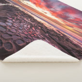 Breedpools in La Jolla, CA Sherpa Deken (3/4)