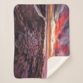 Breedpools in La Jolla, CA Sherpa Deken (Voorkant)