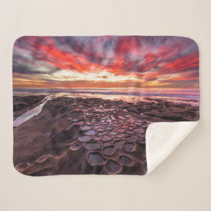 Breedpools in La Jolla, CA Sherpa Deken