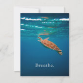 Breedschildpad | Zee schildpad | Ocean Lover Kaart (Voorkant)