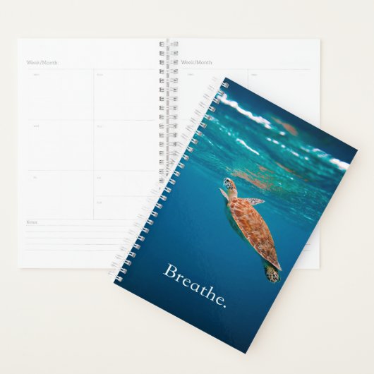 Breedschildpad | Zee schildpad | Turtle Lover Planner (Display)