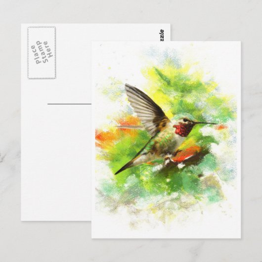 Breedstaartkolibrie Briefkaart (Voorkant / Achterkant)