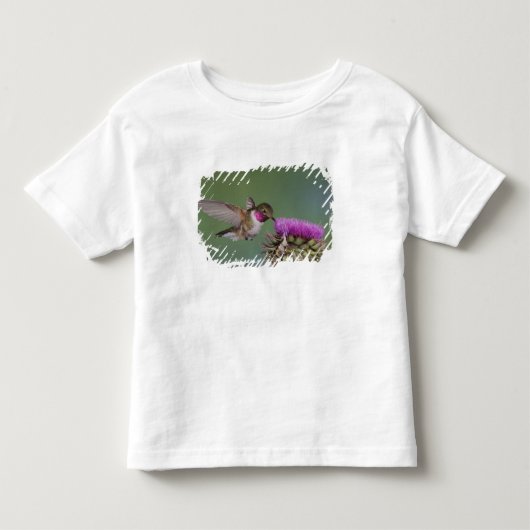 Breedstaartkolibrie, Selasphorus Kinder Shirts (Voorkant)
