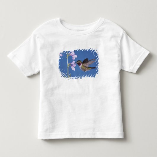 Breedstaartkolibrie, Selasphorus Kinder Shirts (Voorkant)