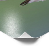 Breedstaartvogel, Selasphorus Foto Afdruk (Hoek)