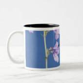 Breedstaartvogel, Selasphorus Tweekleurige Koffiemok (Links)