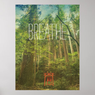 Breedte Natuur van de Shin Shrine Forest Trees Poster