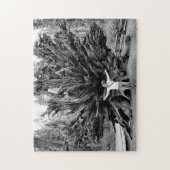 Breedtegraad van de Sequioaboom - 11x14 - 252 pcs. Legpuzzel (Verticaal)