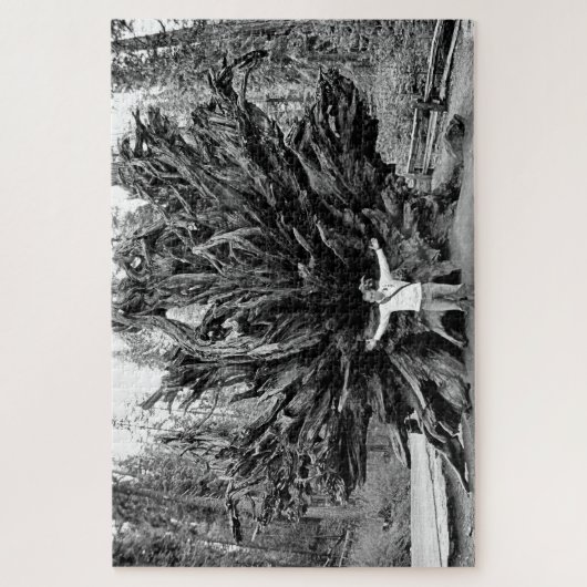 Breedtegraad van de Sequioaboom - 20x30 - 1014 pcs Legpuzzel (Verticaal)