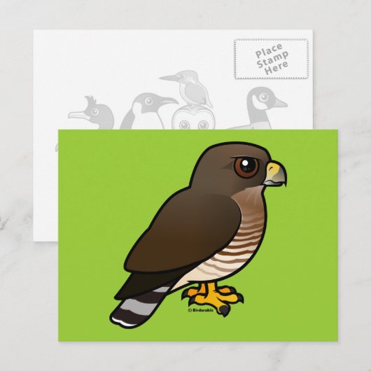 Breedvleugelige Hawk Briefkaart (Voorkant / Achterkant)