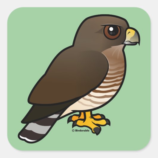 Breedvleugelige Hawk Vierkante Sticker (Voorkant)
