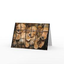 Breek daar uit! Afstuderen Humor