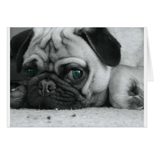 breena pic (Voorkant Horizontaal)