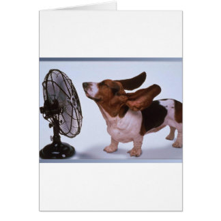 Breeze-Dog en Fan