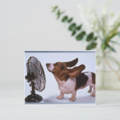 Breeze-Dog en Fan Briefkaart (Staand voorkant)