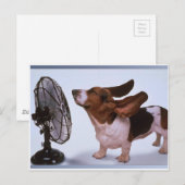 Breeze-Dog en Fan Briefkaart (Voorkant / Achterkant)