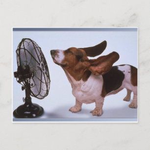 Breeze-Dog en Fan Briefkaart