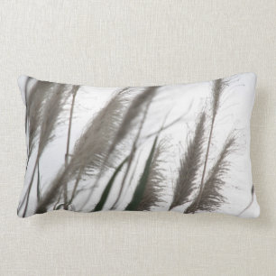 Breeze   Grassen van grassen van het Japanse zilve Kussen