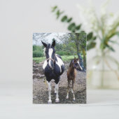 Breezie n Zura Briefkaart (Staand voorkant)