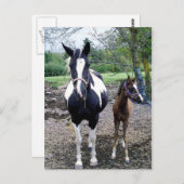 Breezie n Zura Briefkaart (Voorkant / Achterkant)