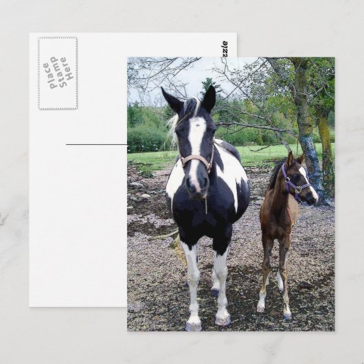 Breezie n Zura Briefkaart (Voorkant / Achterkant)