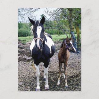 Breezie n Zura Briefkaart