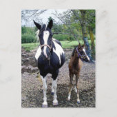 Breezie n Zura Briefkaart (Voorkant)