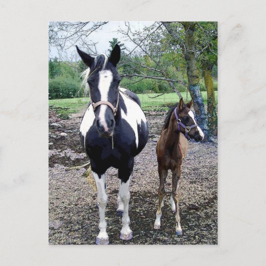 Breezie n Zura Briefkaart (Voorkant)