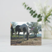 Breezy Sunbeams Briefkaart (Staand voorkant)