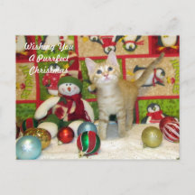 Breezy's kerstBriefkaart - Kat / Keuten