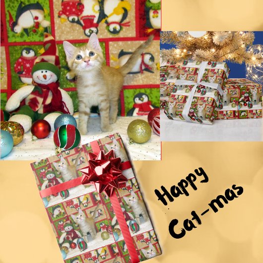 Breezy's Snowman - Kat / Keukenkerst Cadeaupapier