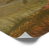Bregentved Forest - Frederik Sødring Fine Art Poster (Hoek)