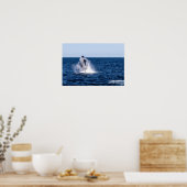 Breikende Humpback Whale Poster (Keuken)