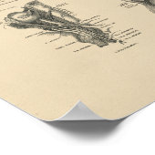 brein Nerves Anatomy 1880 Afdrukken Poster (Hoek)