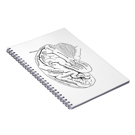 brein notitieboek (Rechterzijde)