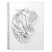  brein notitieboek (Voorkant)