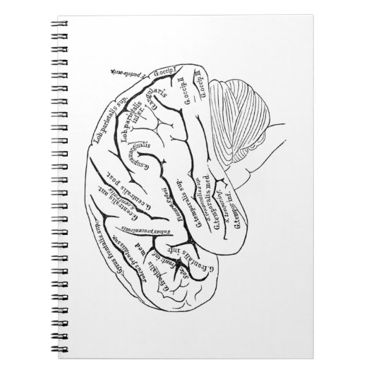  brein notitieboek (Voorkant)