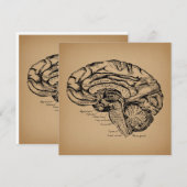 breindiagram Antiek medisch anatomie Kunst Feestdagenkaart (Voorkant / Achterkant)