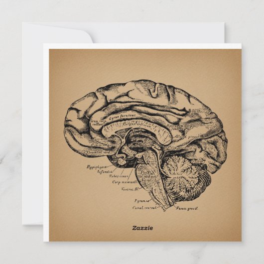 breindiagram Antiek medisch anatomie Kunst Feestdagenkaart (Achterkant)