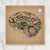  breindiagram Antiek medische anatomie Kunst Bedankjes Labels (Achterkant)