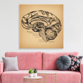 breindiagram Antiek medische anatomie Kunst Canvas Afdruk (Insitu (Woonkamer))