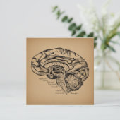  breindiagram Antiek medische anatomie Kunst Kaart (Staand voorkant)