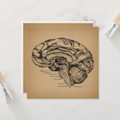  breindiagram Antiek medische anatomie Kunst Kaart (Voorkant / Achterkant in situ)