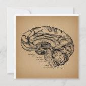  breindiagram Antiek medische anatomie Kunst Kaart (Achterkant)