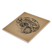  breindiagram Antiek medische anatomie Kunst Tegeltje (Zijkant)