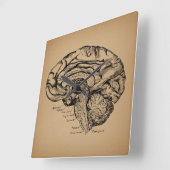  breindiagram Antiek medische anatomie Kunst Vierkante Klok (Hoek)
