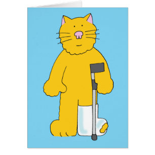 Breken been Kat met been in gips